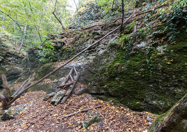 IMG_9955_IMG_9957-3 images